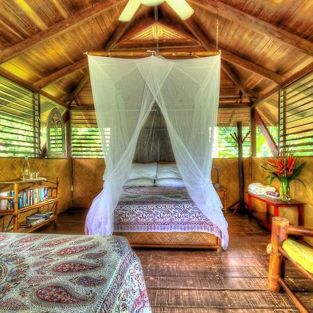 Iguana Lodge Beach Resort Puerto Jiménez المظهر الخارجي الصورة