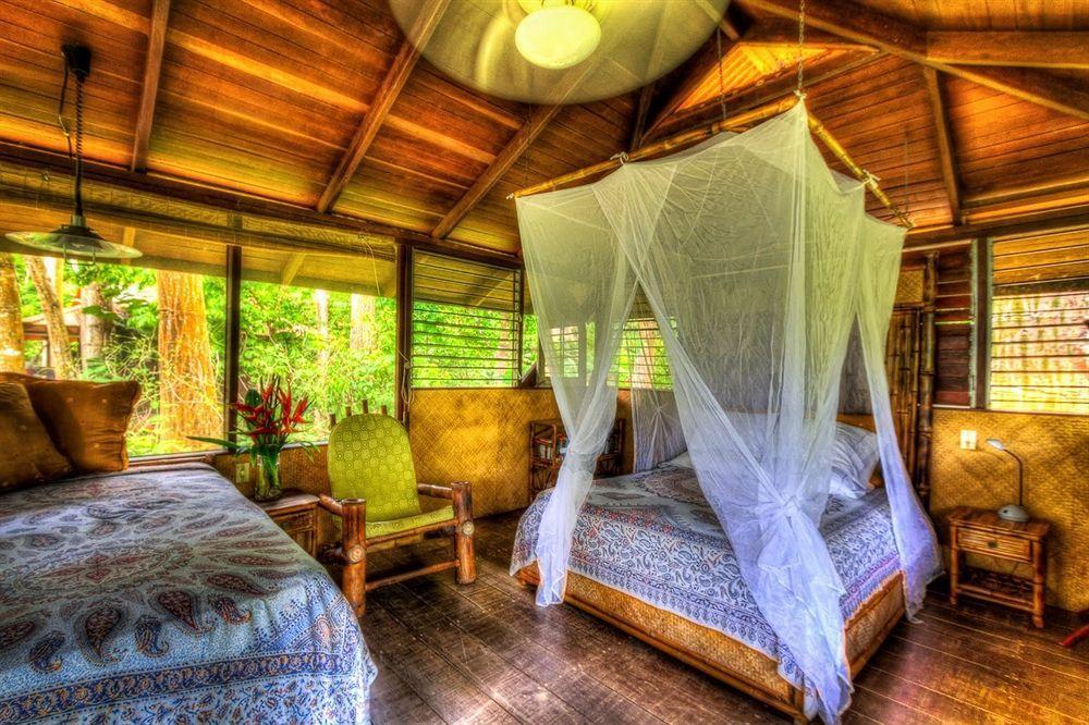 Iguana Lodge Beach Resort Puerto Jiménez المظهر الخارجي الصورة