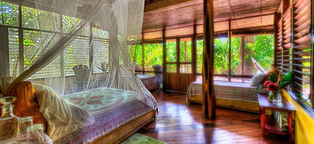 Iguana Lodge Beach Resort Puerto Jiménez المظهر الخارجي الصورة