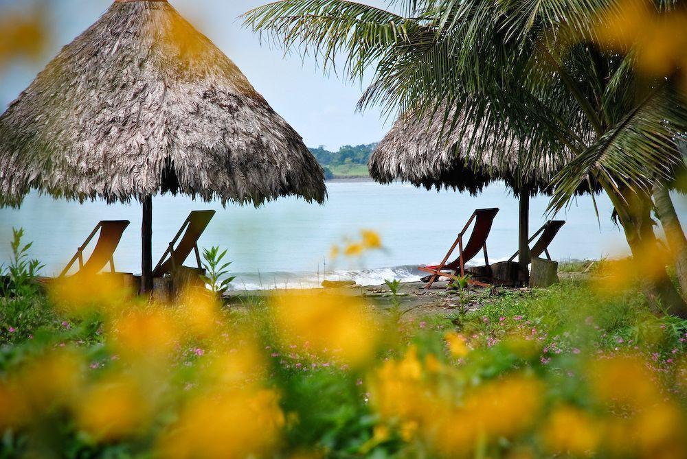 Iguana Lodge Beach Resort Puerto Jiménez المظهر الخارجي الصورة