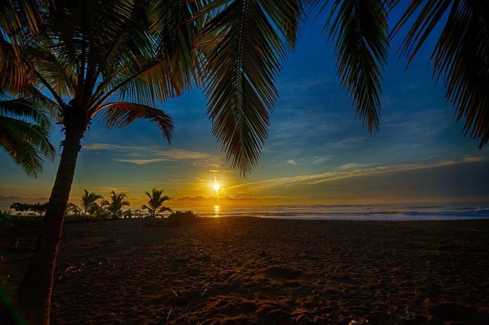 Iguana Lodge Beach Resort Puerto Jiménez المظهر الخارجي الصورة