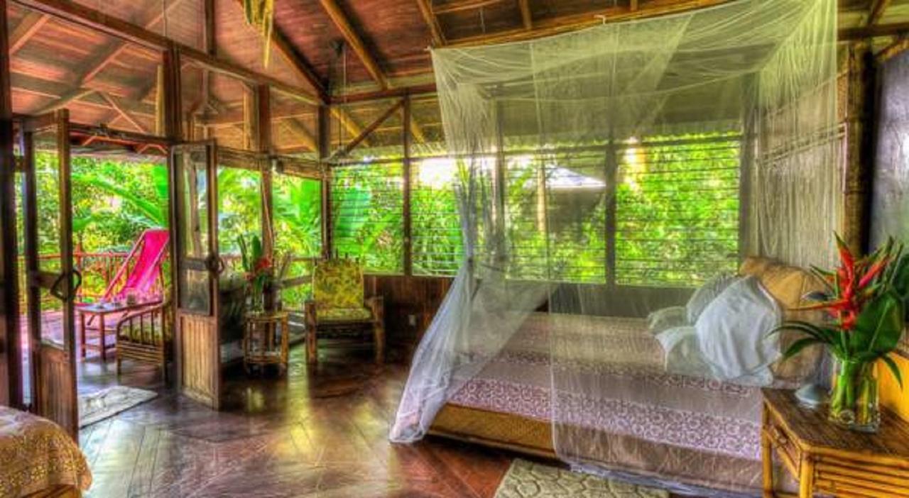 Iguana Lodge Beach Resort Puerto Jiménez المظهر الخارجي الصورة