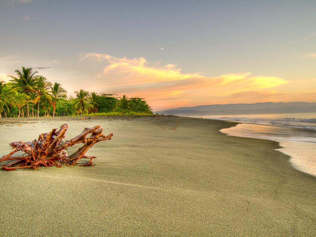 Iguana Lodge Beach Resort Puerto Jiménez المظهر الخارجي الصورة